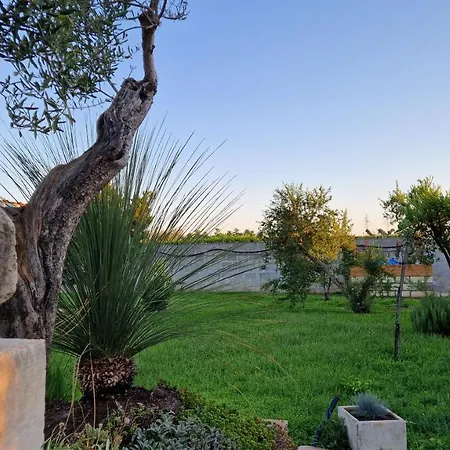 Linda Country house Dragoni (Apulia)